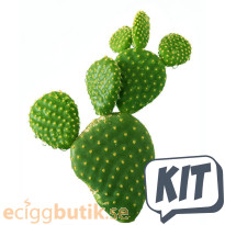 Kaktus Juice Shake n Vape Kit